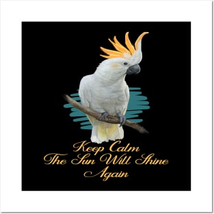 Motivational Parrot - Keep Calm, The Sun Will Shine Again - Parrot Lover Posters and Art